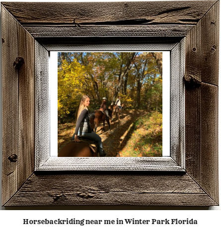 horseback riding near me in Winter Park, Florida